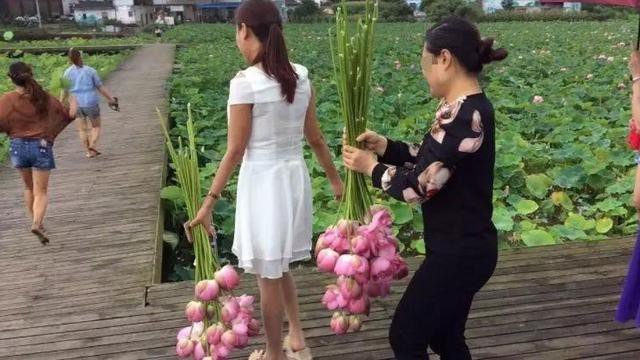 Alasan Taman Bunga Ditutup Bikin Geleng Kepala